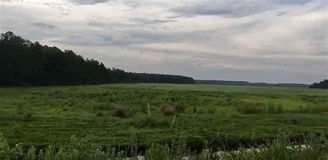 Alligator River National Wildlife Refuge, North Carolina : Off-Road Trail Map & Photos | onX Offroad