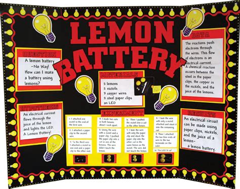 Winning Science Fair Projects | Good Science Project Ideas