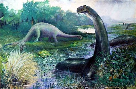 Mokele Mbembe: Is a Dinosaur Living in the Congo? | Exemplore