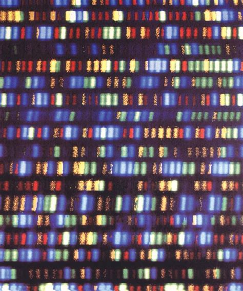 Whole genome sequencing | Genetics, DNA & Benefits | Britannica