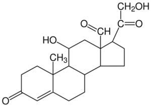 ADH Vs Aldosterone: Definition, Functions and Differences