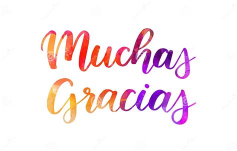 Muchas Gracias - Thank You Very Much in Spanish. Handwritten Modern Calligraphy Watercolor ...