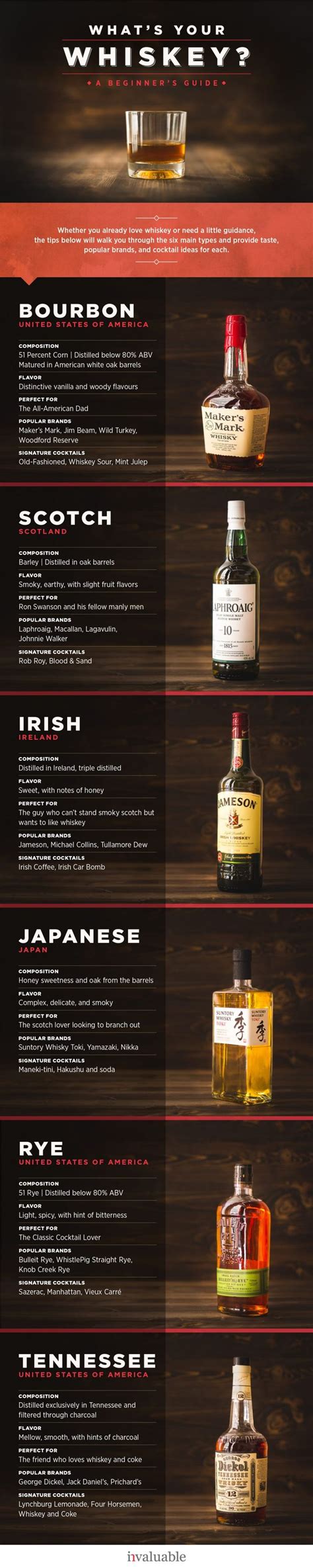 The Beginner’s Guide to Types of Whiskey | Daily Infographic | Whiskey ...