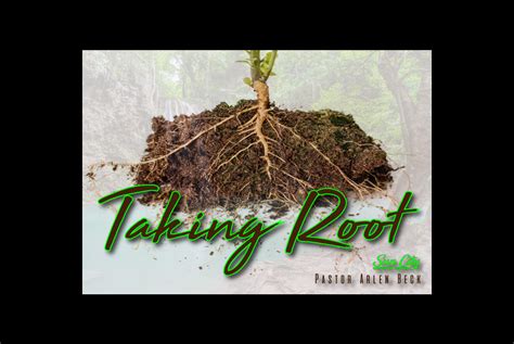 Taking Root - Sun City Christian Center