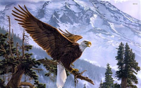 American Eagle Wallpapers - Wallpaper Cave