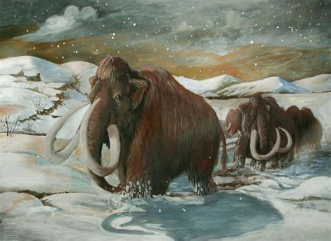 78 best Mammoth art images on Pinterest | Prehistoric animals ...