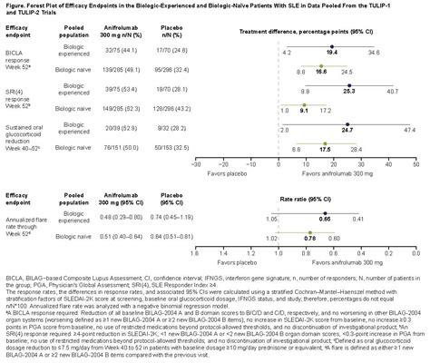 Efficacy of Anifrolumab in Patients with SLE Previously Treated with ...