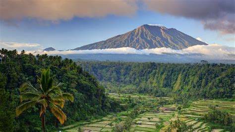 Wallpaper Bali, palms, trees, field, mountain, clouds, 5k, Nature #16295