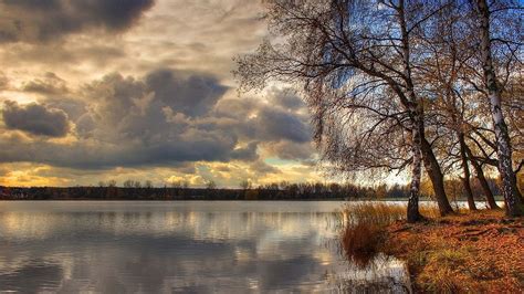 Clouds Like Trees [1920x1080] : wallpaper