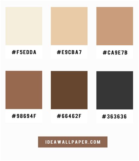 Shades of latte and coffee color scheme, A pretty color palette of coffee