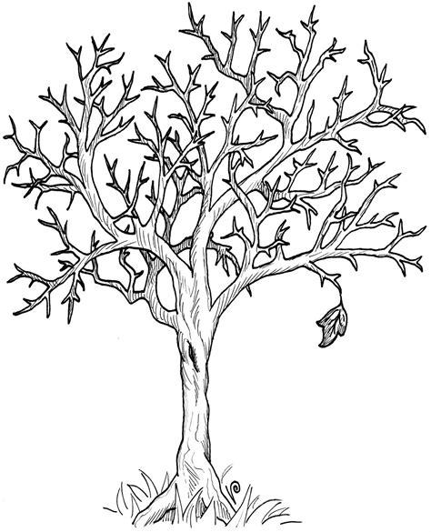 fall tree clip art black and white - Clip Art Library