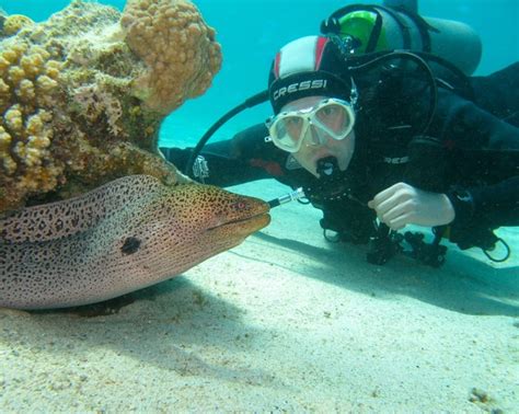 Scuba diving Marsa Alam | Diving in Marsa Alam