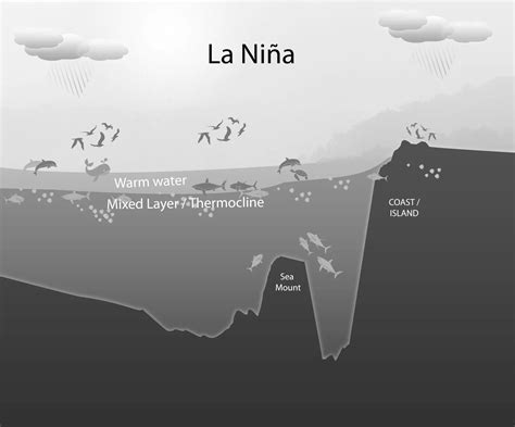 La Niña's effect on wildlife - Wildlife in the Balance