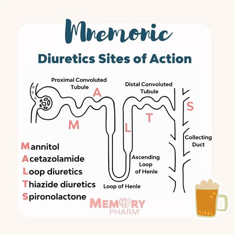 Memory Pharm - Diuretics work to enhance sodium and water...