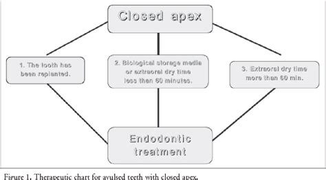 Figure 1 from Therapeutic protocols for avulsed permanent teeth: review ...