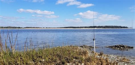 Dewees Island Beach in Isle of Palms, SC (2020 Photos, Reviews, Info, Map) | BeachCatcher