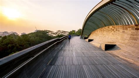 Take a Walk Across Henderson Waves Bridge - Visit Singapore Official Site