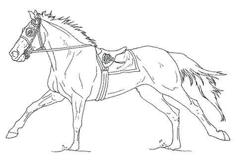 Race Horse Drawing at GetDrawings | Free download