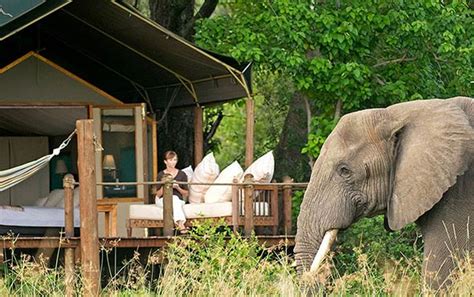 South Africa Travel: Luxury Safaris in South Africa | Abercrombie & Kent