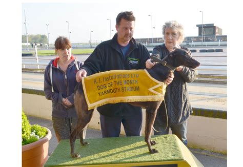 FBGOA: YARMOUTH - Greyhound Star | News from the Greyhound Industry