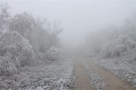 Freezing Fog Blankets Forest and Creates Surreal Frozen Landscape