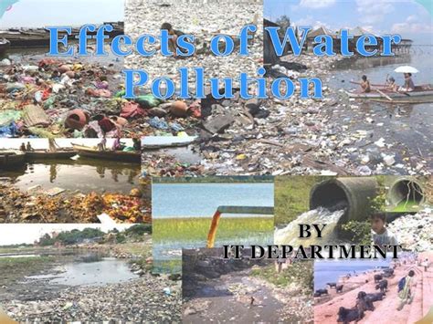 Water pollution effects