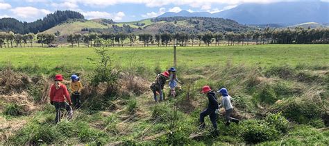 Waimakariri youth protect mudfish habitat with planting project ...