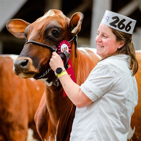 Cattle Show - Expo Ormstown