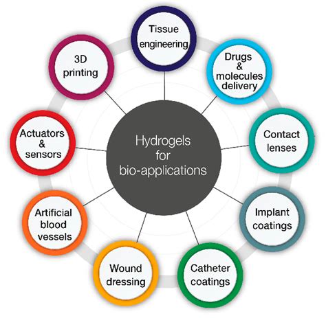 Application of hydrogels in biomedicine. | Download Scientific Diagram