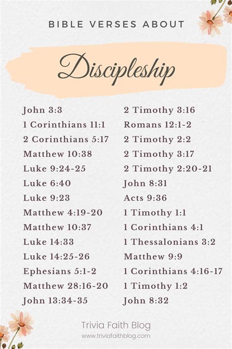 26 Important Bible Verses About Discipleship