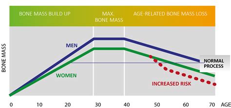 Bone density chart by age - dashmokasin