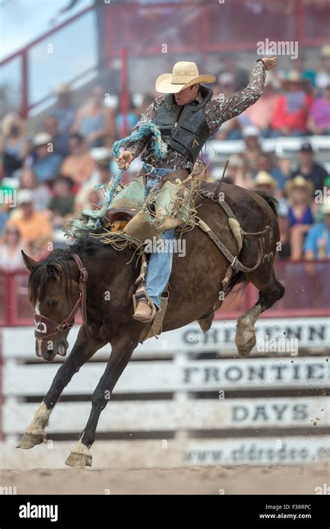 Bucking bronco rodeo wyoming hi-res stock photography and images - Alamy