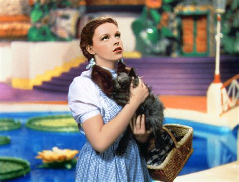 Judy Garland, The Wizard of Oz, Red Glitter Shoes and the Forever Blue Gingham Dress