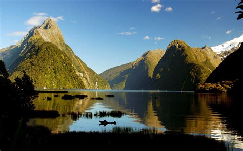 Milford Sound. Fiordland.NZ | This is my office! As a tour c… | Flickr