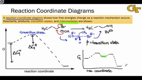 [DIAGRAM] Trypsin Reaction Diagram - MYDIAGRAM.ONLINE