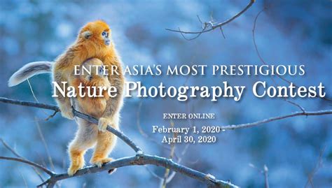 Nature Photography Contest | Photo Contest Insider