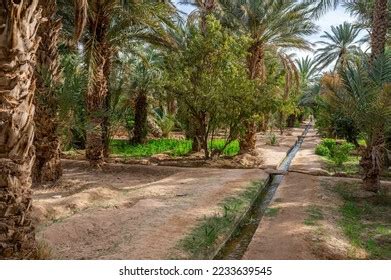 Typical African Oasis Sahara Desert Morocco Stock Photo 2233639545 ...