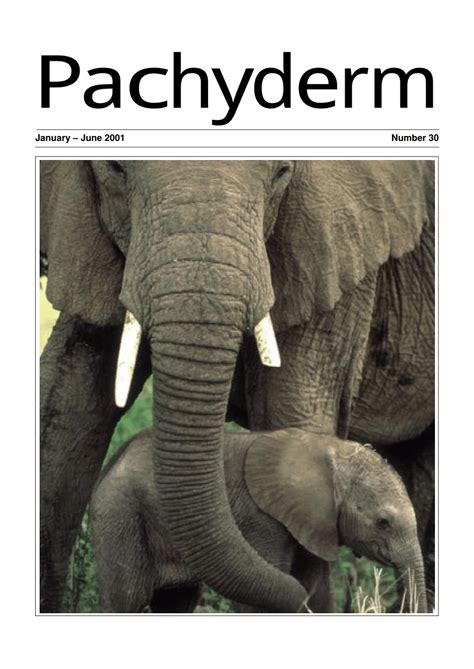 (PDF) Management implications of new research on problem elephants