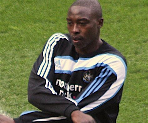 Shola Ameobi Biography - Facts, Childhood, Family Life & Achievements