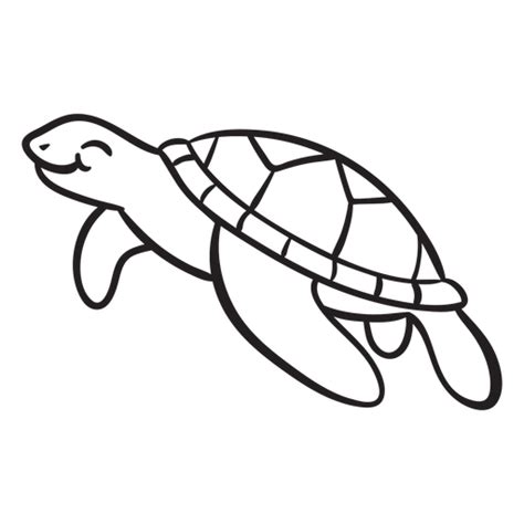 Turtle Outline Template