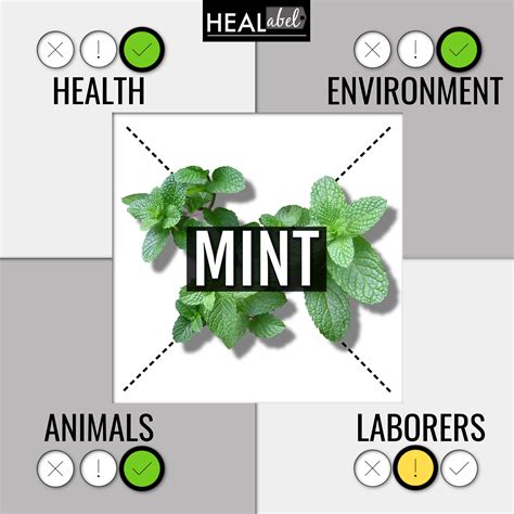 Benefits of Mint! | Mint benefits, Culinary herbs, Mint