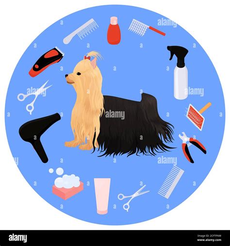 Dog grooming icons vector set and yorkshire terrier. cartoon illustration for beauty salon logo ...