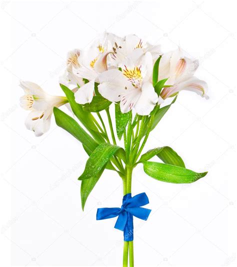 Alstroemeria bouquet isolated over white — Stock Photo © luckyraccoon #5741367