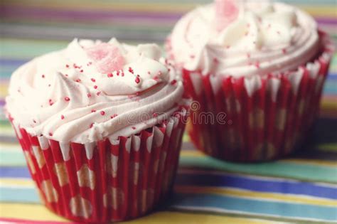 Chocolate Cupcakes Sprinkles Stock Image - Image of frosting, pink: 41221421