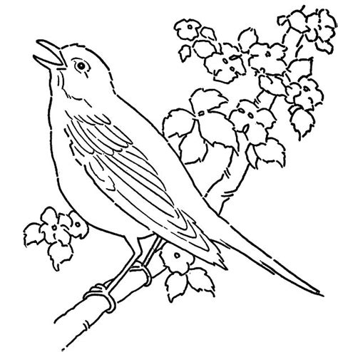 Canary Bird Singing On Tree Coloring Pages | Best Place to Color