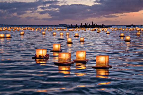 Lantern Festival California 2025 - Carl Cameron