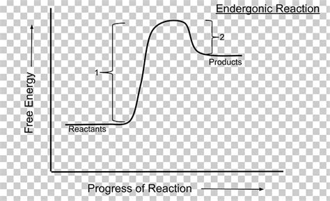 Endergonic Reaction Activation Energy Chemical Reaction Photosynthesis ...