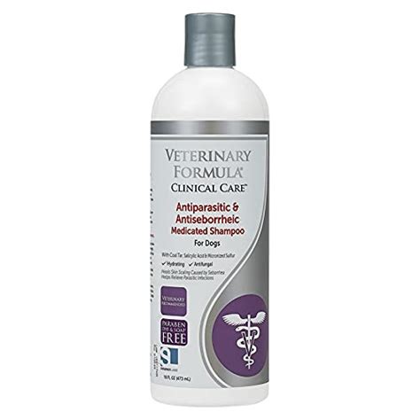 10 Best Antifungal Shampoo For Dogs – Review And Buying Guide – blinkx.tv