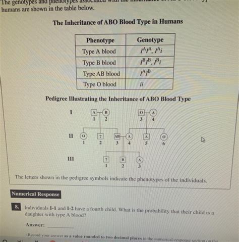 Solved The genotypes and phenotypes humans are shown in the | Chegg.com