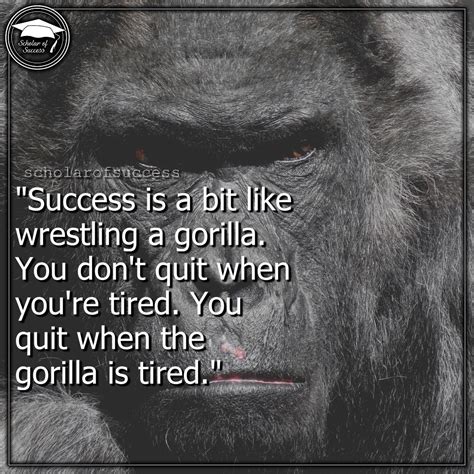 a gorilla with the words success is a bit like wrestling a gorilla you ...